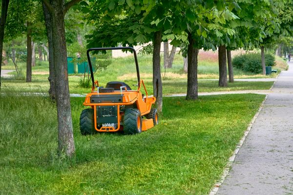 Landscaping Cleanup Service in Mill Valley