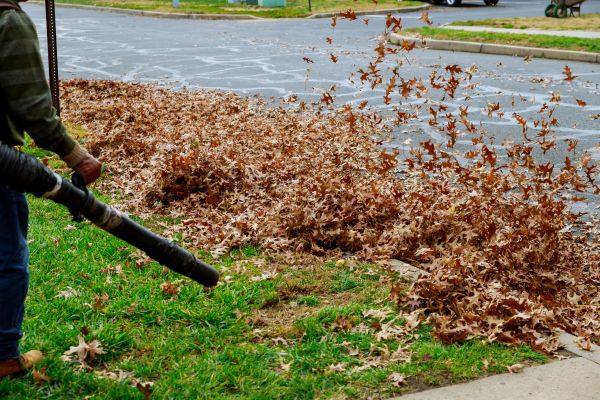 Garden Leaf Removal in Mill Valley