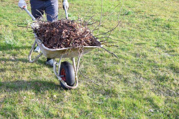 Yard Brush Removal in Mill Valley