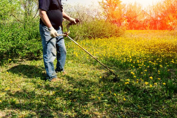 Yard Clearing Service in Mill Valley