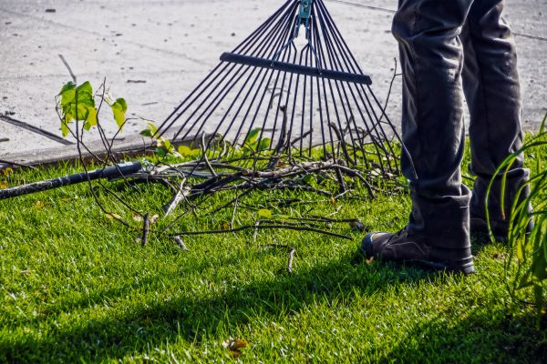 Yard Debris Cleanup in Mill Valley