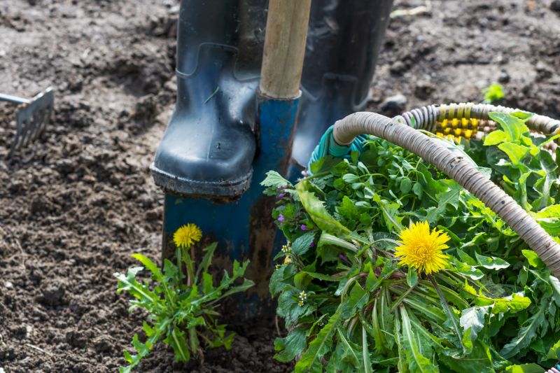 Garden Deweeding detail
